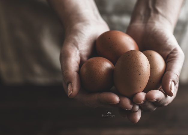 Mangiare uova migliora lo sviluppo cerebrale dei bambini